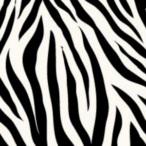 Printed leather Zebra