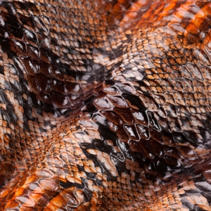 Snake stamped leather - Brown & Orange