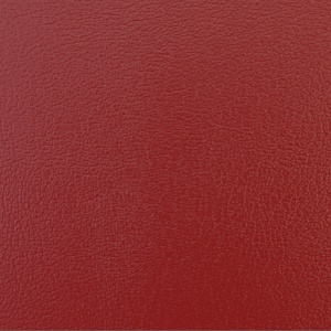 Мarker painted leather Red
