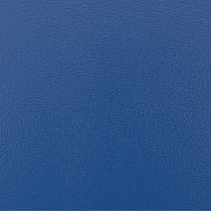 Мarker painted leather Blue